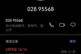 马龙要钱公司：揭秘现代金融服务新趋势